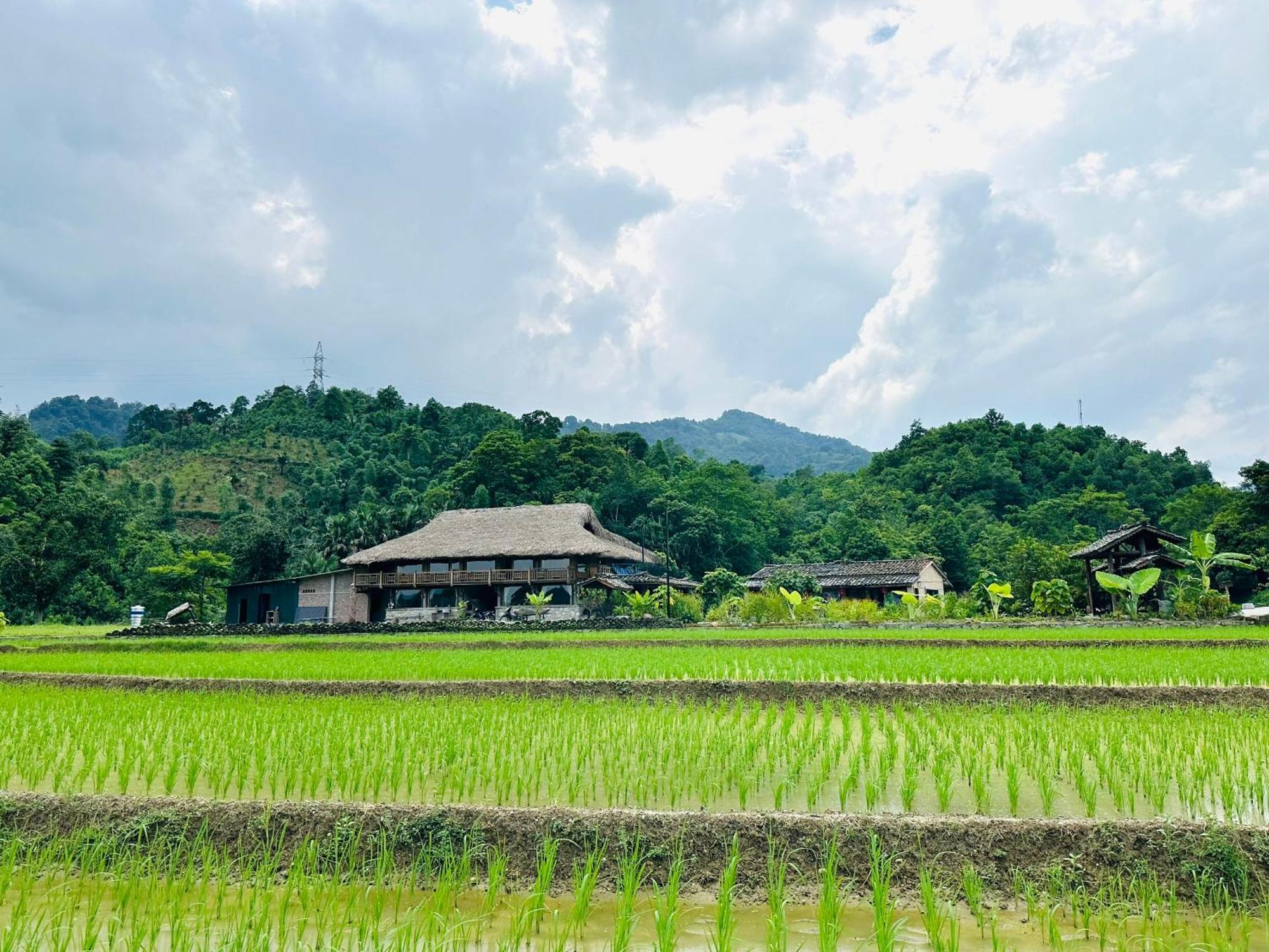 Ban Bang Ecolodge Tours & Motorbike Rental Hà Giang Zewnętrze zdjęcie